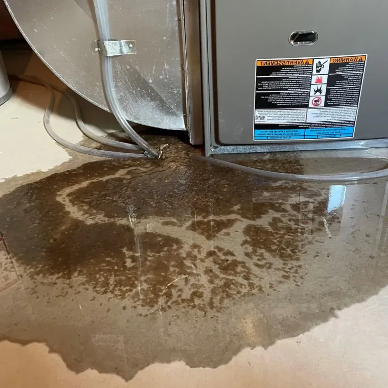 Pipe Burst and Leak Restoration in South Burlington, VT